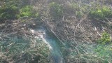 Минэкологии в Раменском районе предотвратило загрязнение реки